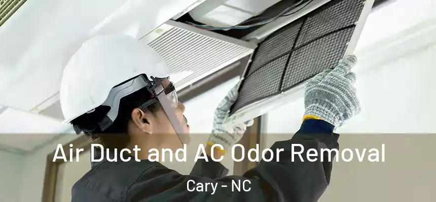 Air Duct and AC Odor Removal Cary - NC