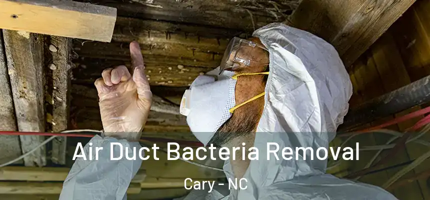 Air Duct Bacteria Removal Cary - NC