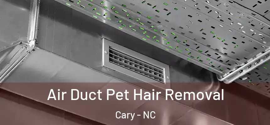 Air Duct Pet Hair Removal Cary - NC
