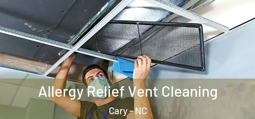 Allergy Relief Vent Cleaning Cary - NC