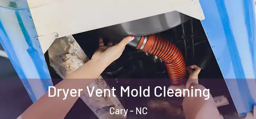 Dryer Vent Mold Cleaning Cary - NC
