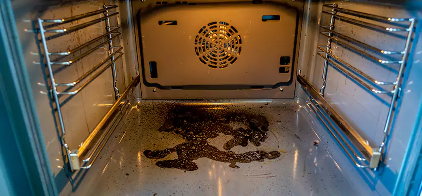 Our Dryer Vent Mold Cleaning Services in Cary, NC