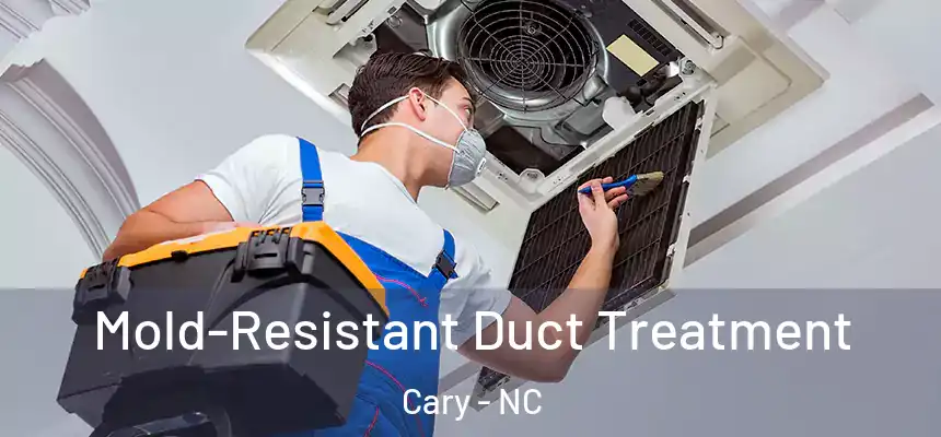  Mold-Resistant Duct Treatment Cary - NC