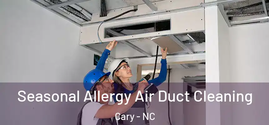 Seasonal Allergy Air Duct Cleaning Cary - NC