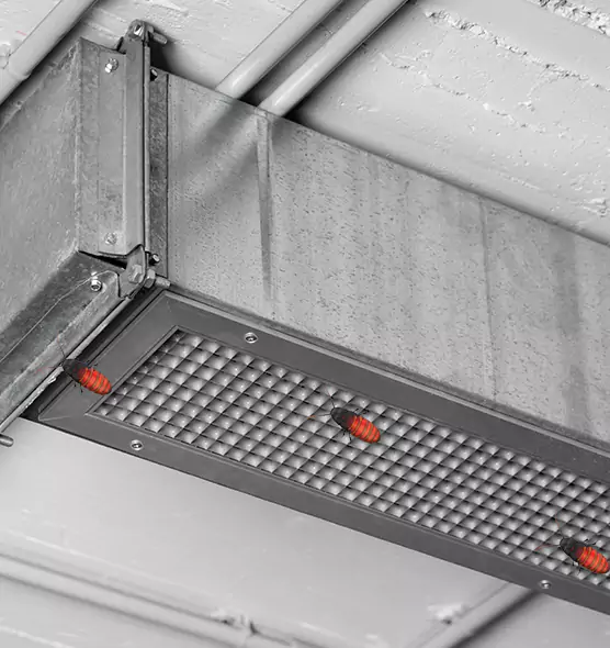 About Air Duct Cockroach Removal in Cary, NC