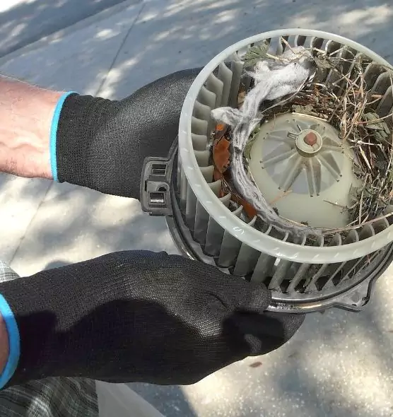 About Air Duct Rat Removal in Cary, NC