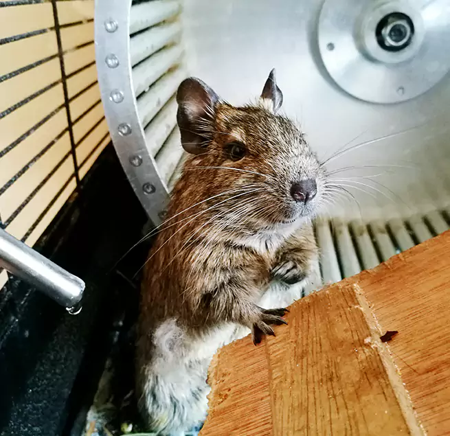 Why Homeowners & Businesses Trust Us Cary, NC