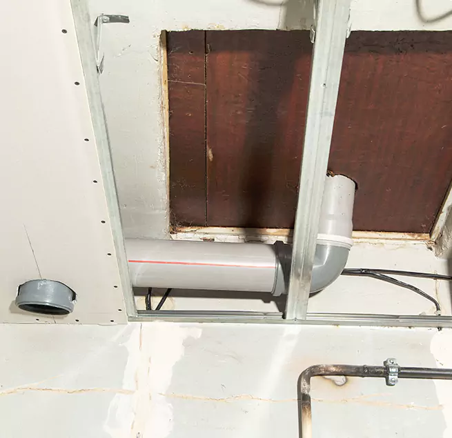 Why Homeowners & Businesses Trust Us in Cary, NC?