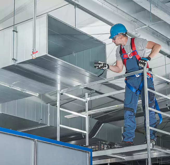 Why Homeowners Businesses Trust Us in Cary, NC