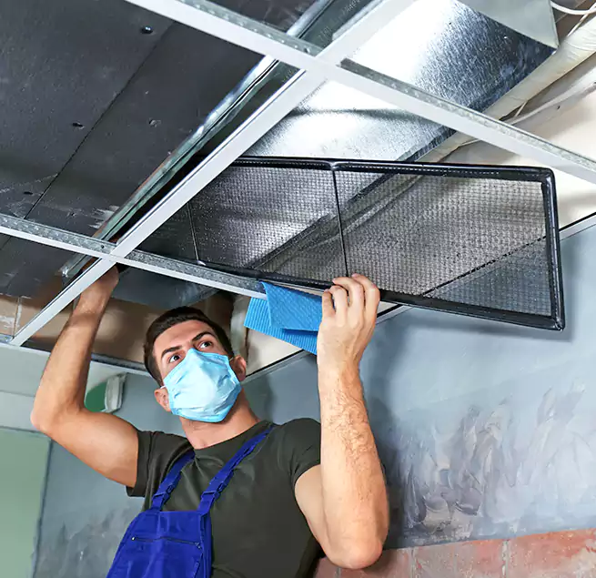 Why Homeowners Businesses Trust Us in Cary, NC